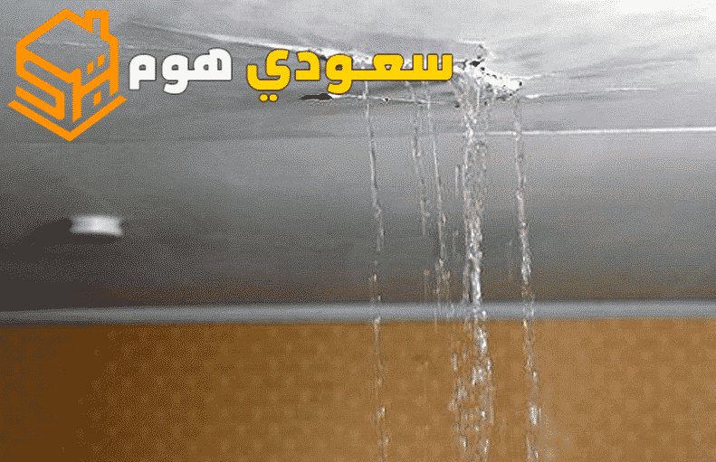 شركة كشف تسربات المياه غرب الرياض 0536287874